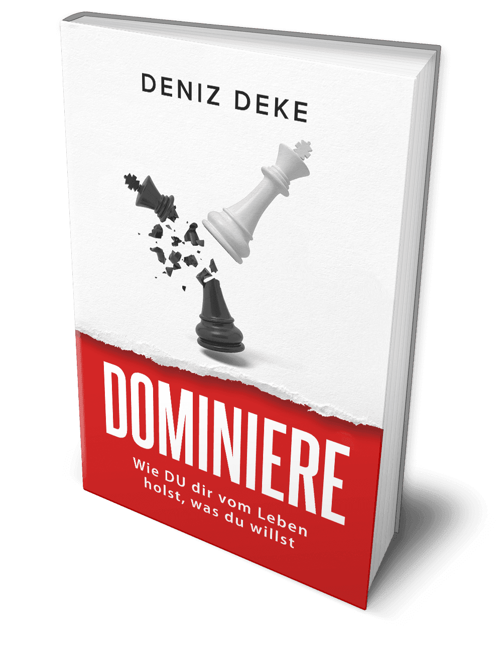 Kurzmeldung: „Dominiere dein Leben“ als Gratis-Buch – Auflage auf 1.000 Exemplare begrenzt